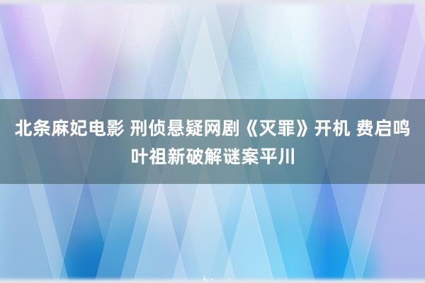 北条麻妃电影 刑侦悬疑网剧《灭罪》开机 费启鸣叶祖新破解谜案平川