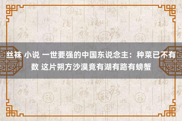 丝袜 小说 一世要强的中国东说念主：种菜已不有数 这片朔方沙漠竟有湖有路有螃蟹