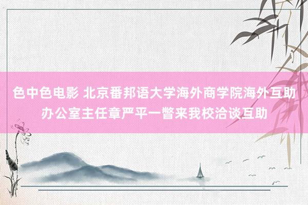 色中色电影 北京番邦语大学海外商学院海外互助办公室主任章严平一瞥来我校洽谈互助